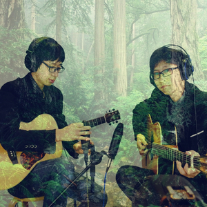 午夜激情视频网站
