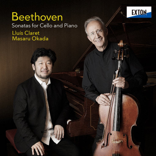 午夜激情视频网站
